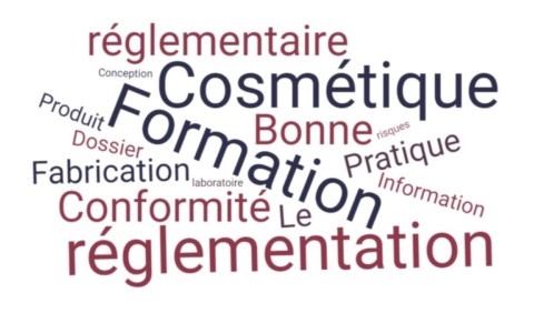 Nuage de mots portant sur une formation cosmétique & règlementation