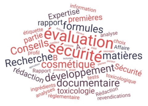 Nuage de mots portant sur l'évaluation de la sécurité de produits cosmétiques.